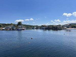 Ръководителят на държавната фабрика за алкохол в Тайюан е отстранен след нападение срещу бивш дистрибутор