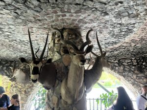 Alibaba отчита 36% ръст на приходите от облак, подчертава импулса на AI през декемврийското тримесечие · TechNode