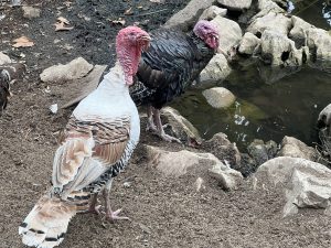 Китайските, тайландските и виетнамските власти разбиха транснационално дело за производство на наркотици, арестуваха 41