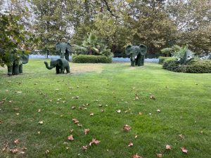 Правителството на Дзянсу разследва боравенето с дарени реликви от музея в Нанкин