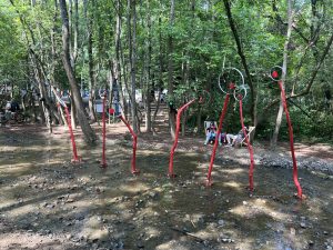 Резерватът Жълта река забранява дроновете след сблъсък с птици