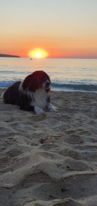 Huawei съди MediaTek за нарушаване на патент след неуспешни преговори за цена · TechNode