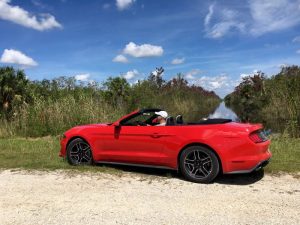 Висшият икономически орган разкрива временни мерки за контрол на цените на бензина и дизела