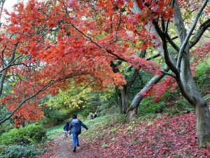 Австралийските фирми виждат възможности за растеж в 9th CIIE