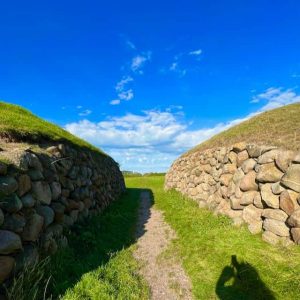 Първото наблюдение на кафявоглави чайки сигнализира за възстановяване на влажните зони в Maqu