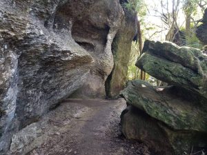 Върховният законодателен орган на Китай разглежда проектозакон за планиране на националното развитие