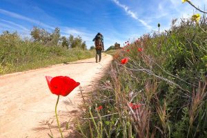 Samsung и TSMC ще разработват съвместно HBM4 AI чип, масово производство се очаква през 2025 г. · TechNode