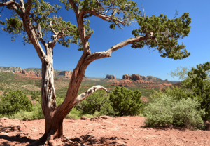 Континентът въвежда цялостен пакет от политики за засилване на връзките между двете страни на пролива