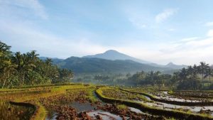 Основната индустрия на ИИ в Китай ще достигне 12,6 тона юана до 2030 г., променяйки глобалната конкуренция