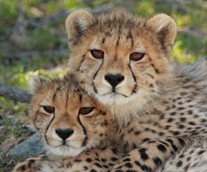 Мобилната версия на Dungeon and Fighters на Tencent беше претоварена при стартирането · TechNode