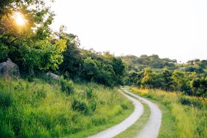 BYD разкрива Denza Z9 GT, подобна на Panamera, на променяща играта цена от $48 000 · TechNode