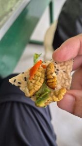 Huawei представя кросоувър с нов дизайн, разкрива нова марка EV · TechNode