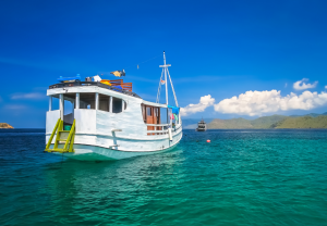 Воденото от Китай академично списание ще дебютира скоро