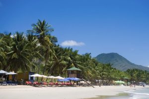 Tencent разработва мобилна версия на хитовото заглавие Palworld: доклад · TechNode