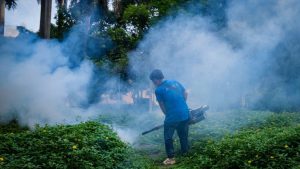 Янджоу: където фенерите светят и пролетта цъфти