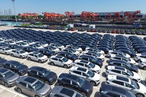 50 Cozy, Creative, and Fun Things to Do in November