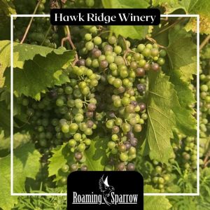 Hawk Ridge Winery: A Spontaneous Monday Adventure in Connecticut Wine Country