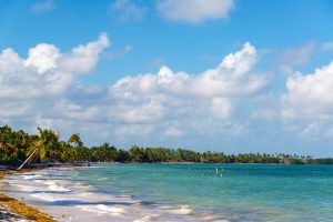 Be Among the First to Experience Ocean Azure Costa Mujeres