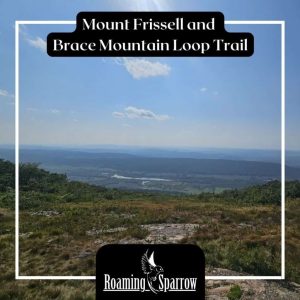 Mount Frissell and Brace Mountain Loop Trail