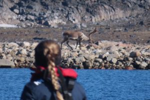 Honor пуска Magic V Flip като първия си флип сгъваем телефон в Китай · TechNode