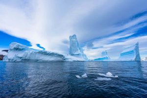 Visiting Cierva Cove, Antarctic Peninsula (2025 Guide)