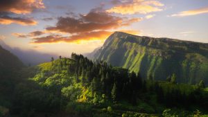 Дзянсу в пълен разцвет – Chinadaily.com.cn