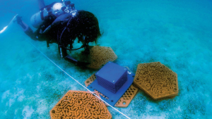 Открийте непознати чудеса по света