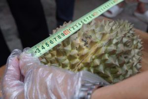 Ръководителят на мисията планира да отглежда петунии в космоса