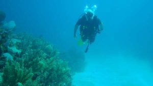 Discover Scuba Diving Over 50 Years Of Age {Review}