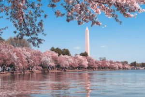 Designing the Perfect Luxury Washington DC Getaway: 5 Touches That Transform Your Trip