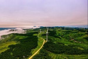 Китай навлиза в нов етап на своя зелен енергиен преход