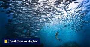 Китайски туристи проявяват интерес към Visit Malaysia 2026