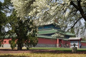 Културата, потреблението на туризма остава силно