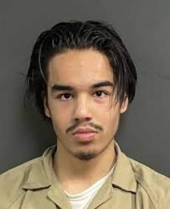 Американски тийнейджър, вдъхновен от Изида, се признава за виновен в опит за убийство на полицай