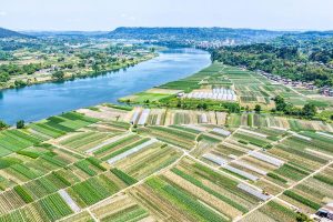 Китай разкрива първия си AI модел с отворен код за защита на културите